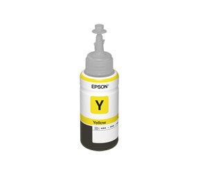Epson T673420 1 pc(s)