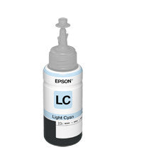 Epson T673520 1 pc(s)